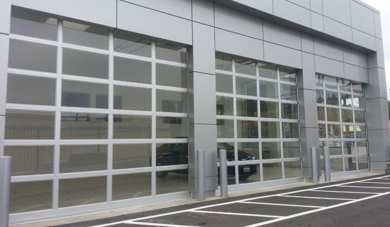 Transparent Sectional Overhead Doors 1